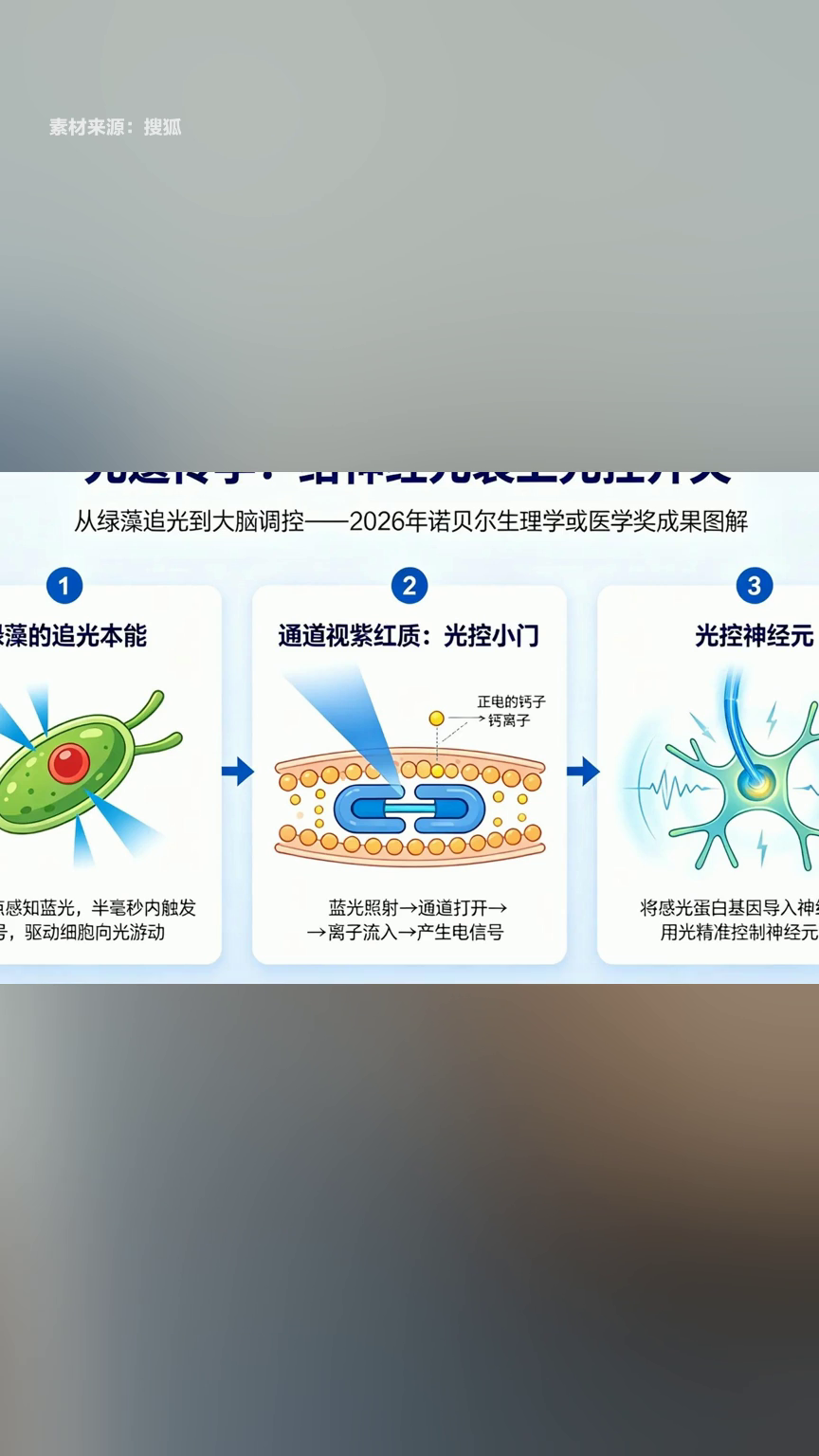 2026年诺奖光遗传学技术与深圳脑科学布局