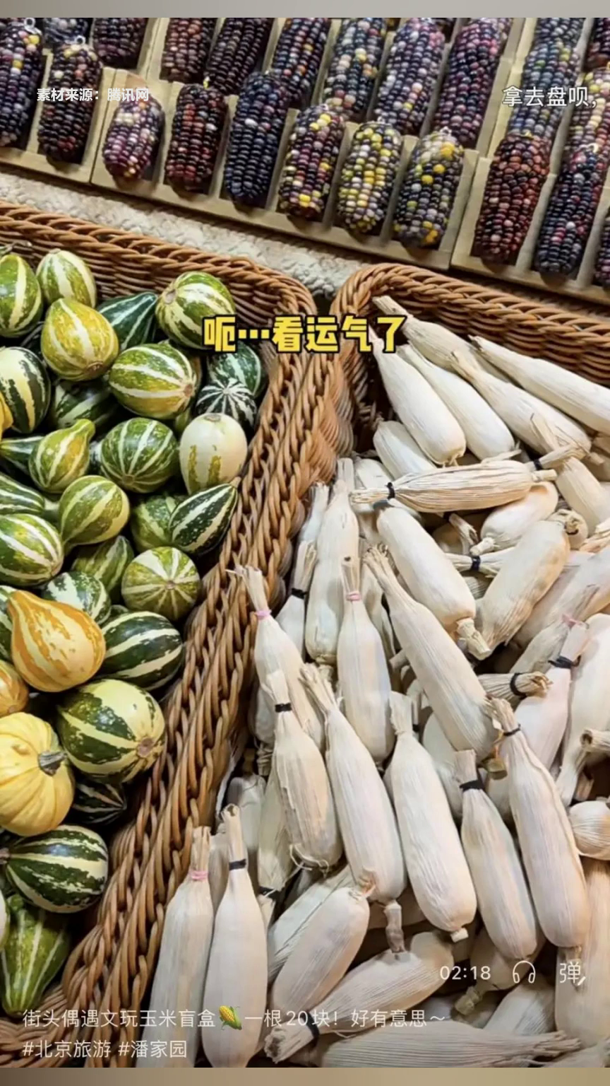 文玩玉米走红年轻群体 市场价格差异显著